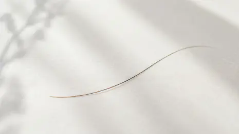 The Hair Growth Cycle Explained: Anagen, Catagen, Telogen
